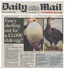 Daily Mail Egg Story