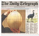Daily Telegraph Egg Story
